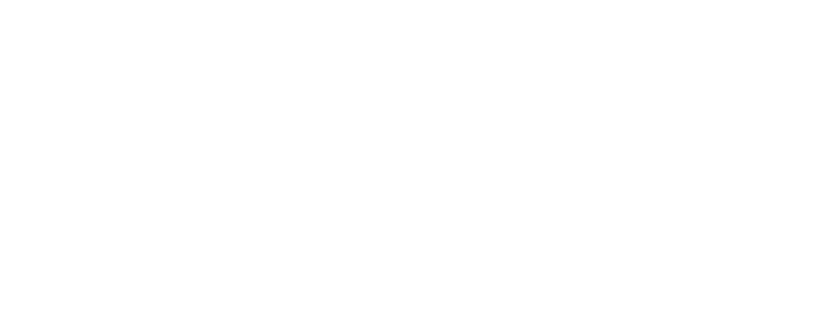 Wedelo Limited