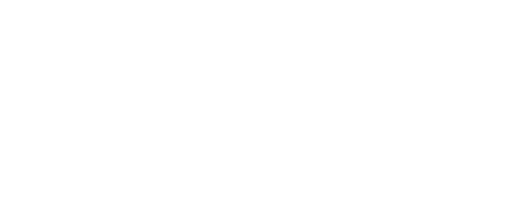 Wedelo Limited